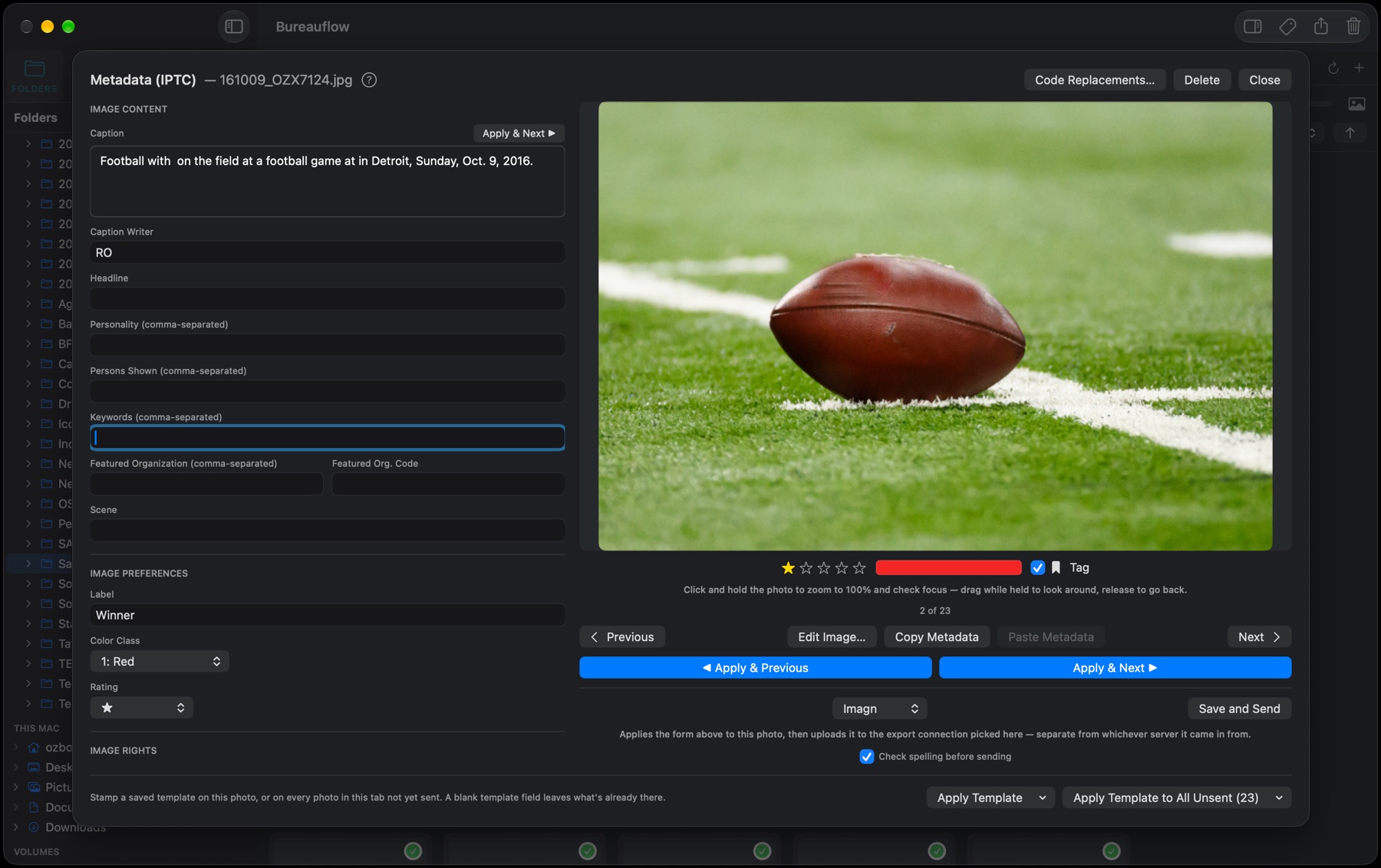 The Metadata editor: caption and IPTC fields on the left, the photo with its stars, color class and tag on the right, Apply & Previous and Apply & Next below